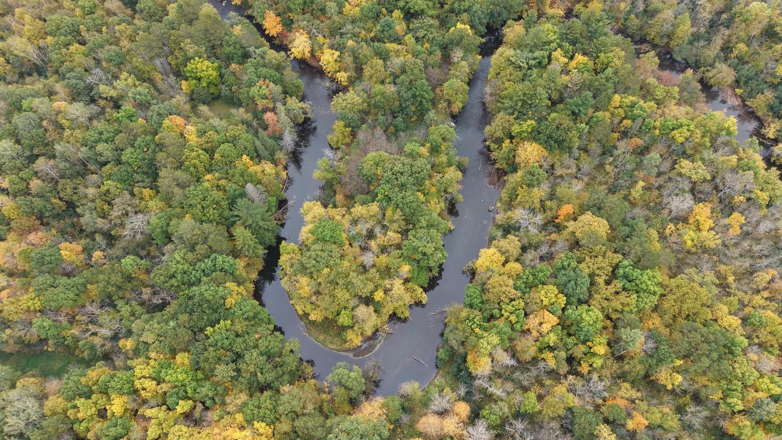Aerial view of a winding river through an autumn forest